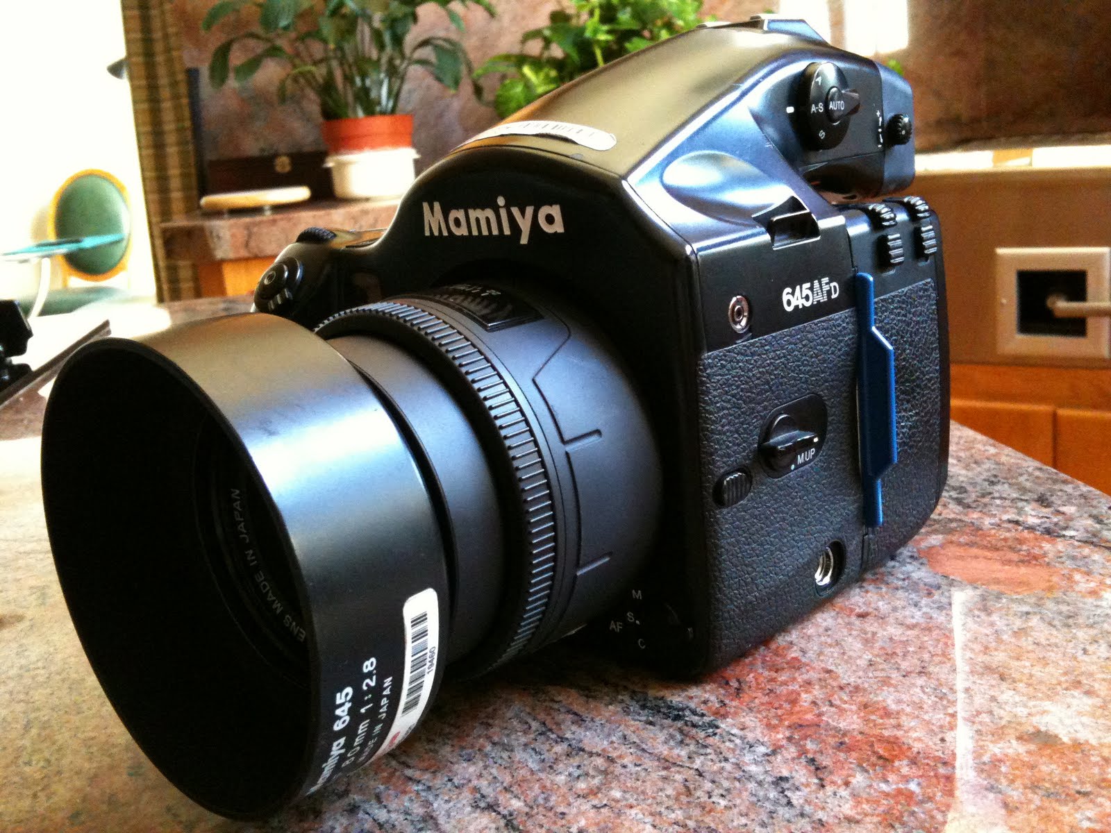 L U C I M A blog: Mamiya 645AFD