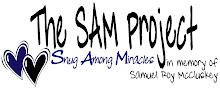 The SAM Project