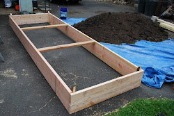 chicken coop bed under getting dirt delivered both got