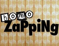 fftm8tnvezq9n4nw0y4a856898274ce_homo-zapping.jpg