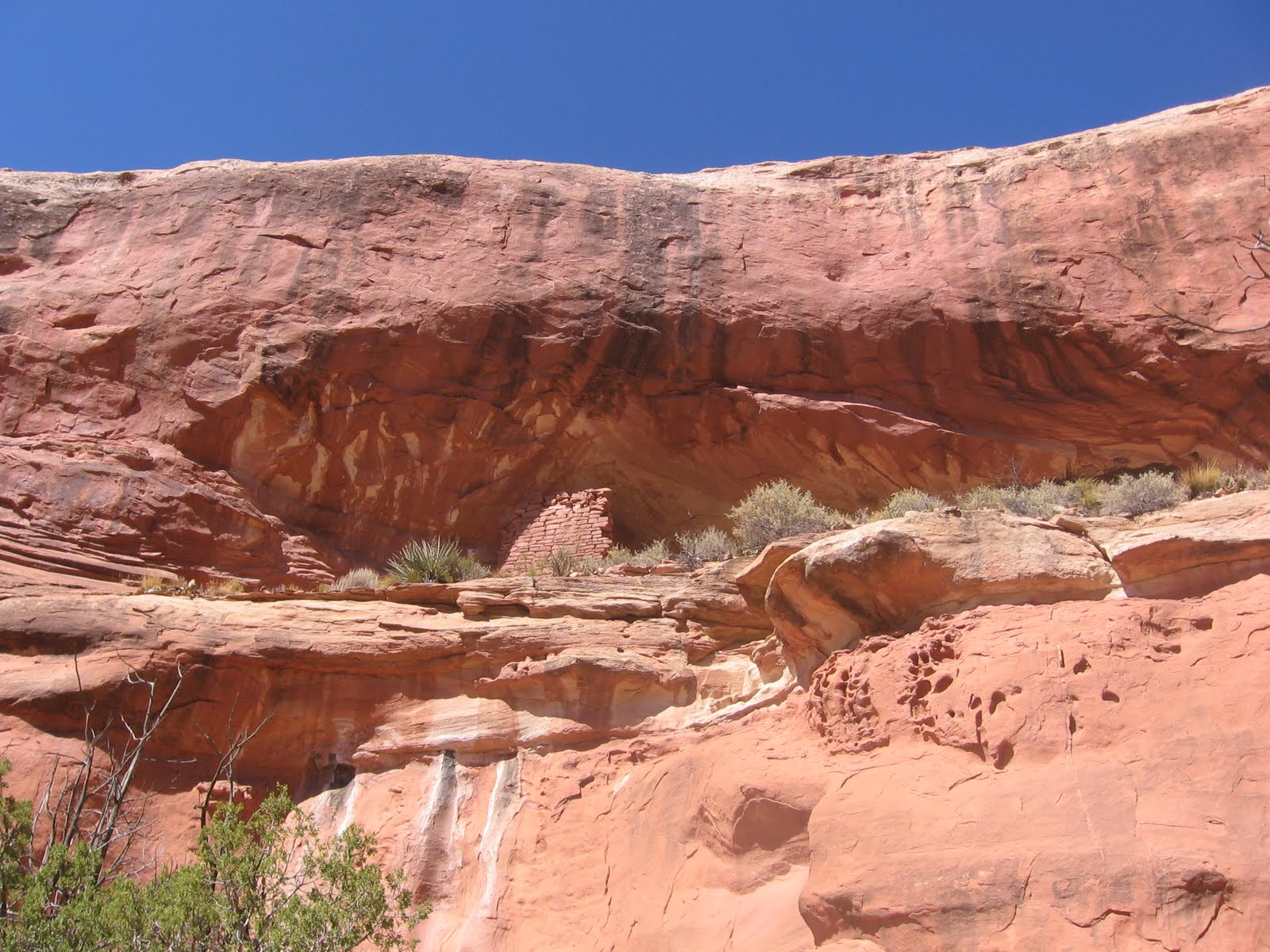 Four Corners HikesCanyons of the Ancients Mouth of Sand Canyon Trail