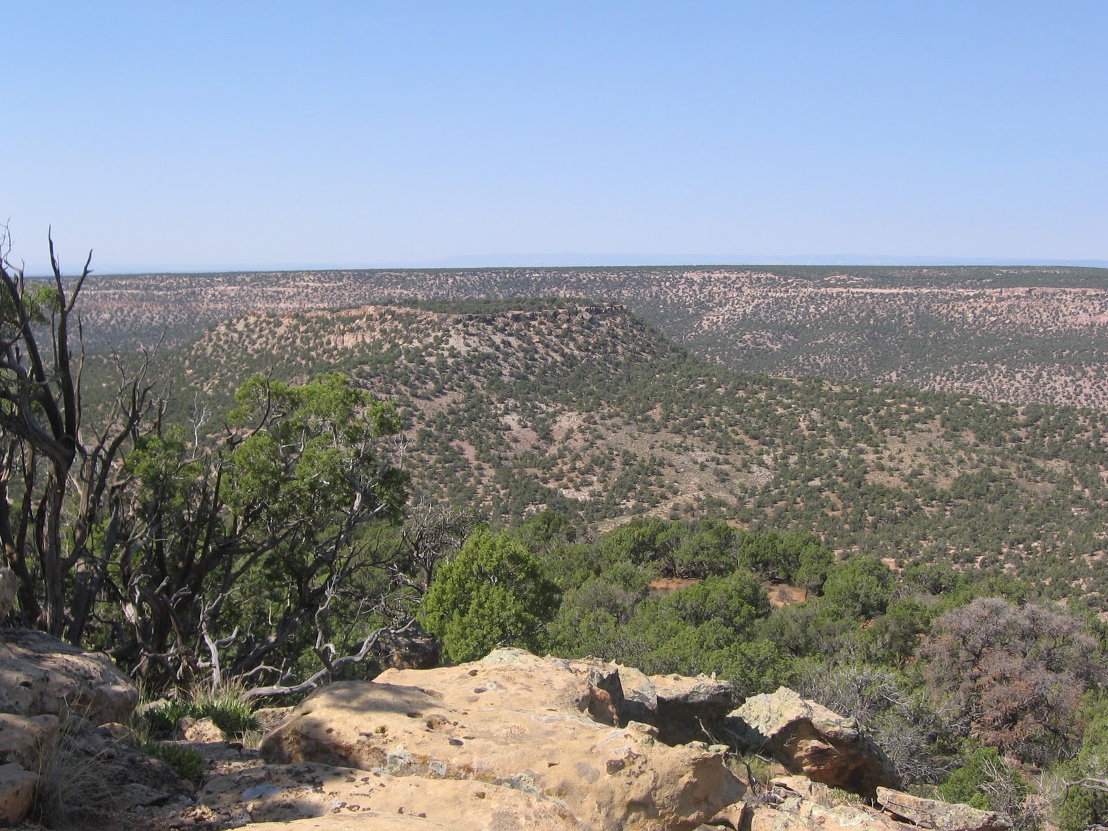 Four Corners HikesCanyons of the Ancients Ruin Canyon to Cow Canyon