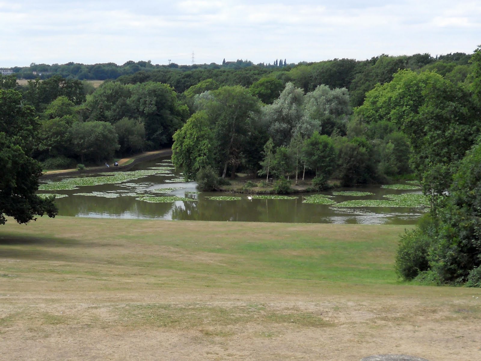 Journeys on Foot Petersfield to Bedhampton
