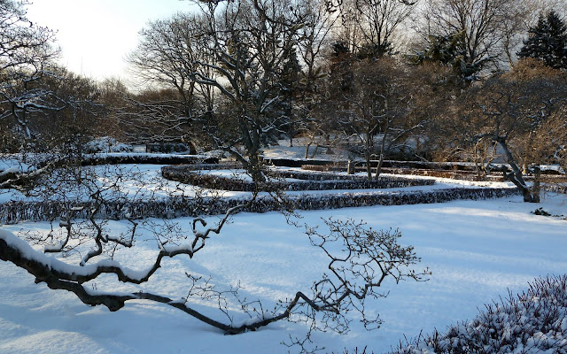 Magnolia Plaza, Brooklyn Botanic in snow