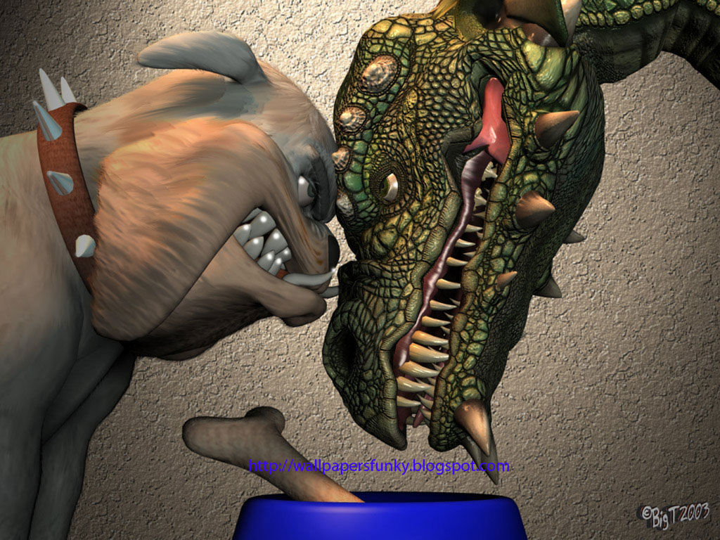 wallpapers HQ: Amazing Funny Wallpapers 1024 X 768 [Set 1]