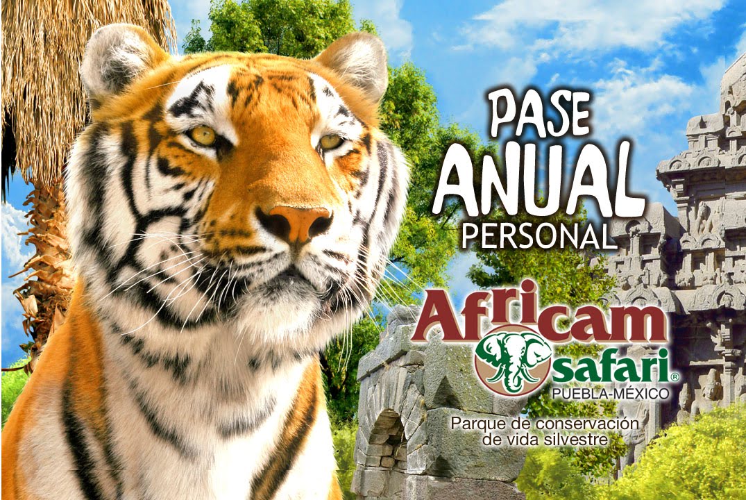 promociones en africam safari