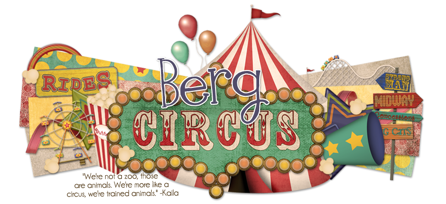The Berg Circus
