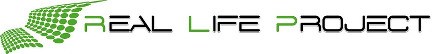 Real Life Project - leben oder gelebt werden