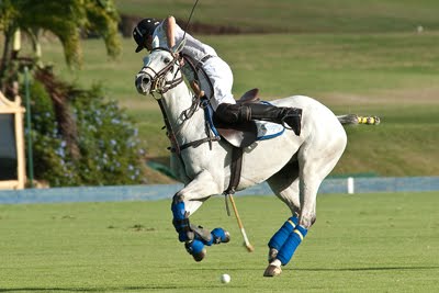 How did I plan the shot – Polo shot