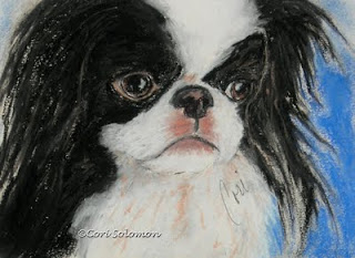 Japanese Chin - Chin-sational By Cori Solomon