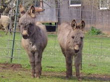 Smoochie and Emma
