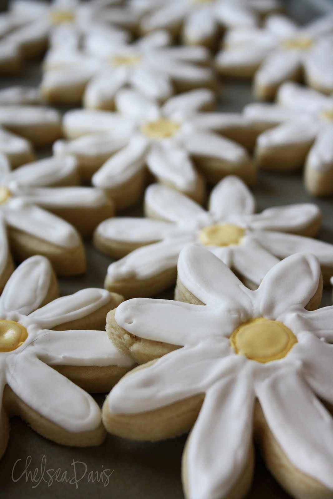 SSH Recipes Baptism Cookies