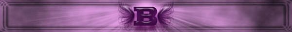 ~B~