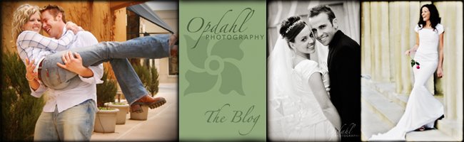 Opdahl Photography: The Blog
