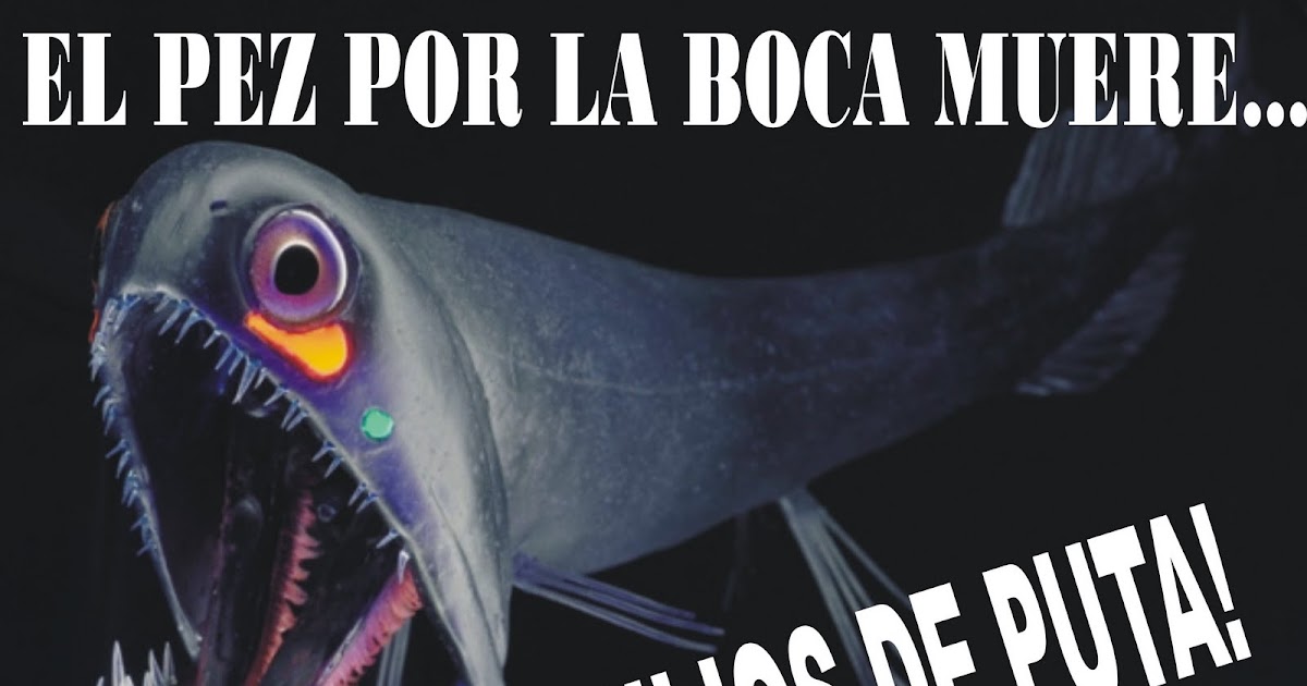 La verdad los hará libres ¡¡EL