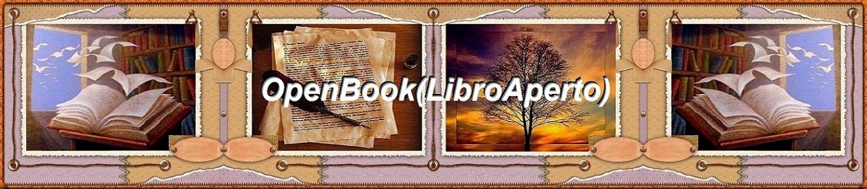 OpenBook(LibroAperto)