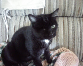Jeweli