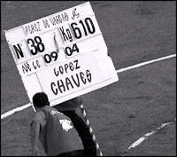 Clavel Blanco