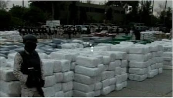 Mexico forces seize huge marijuana haul in Tijuana