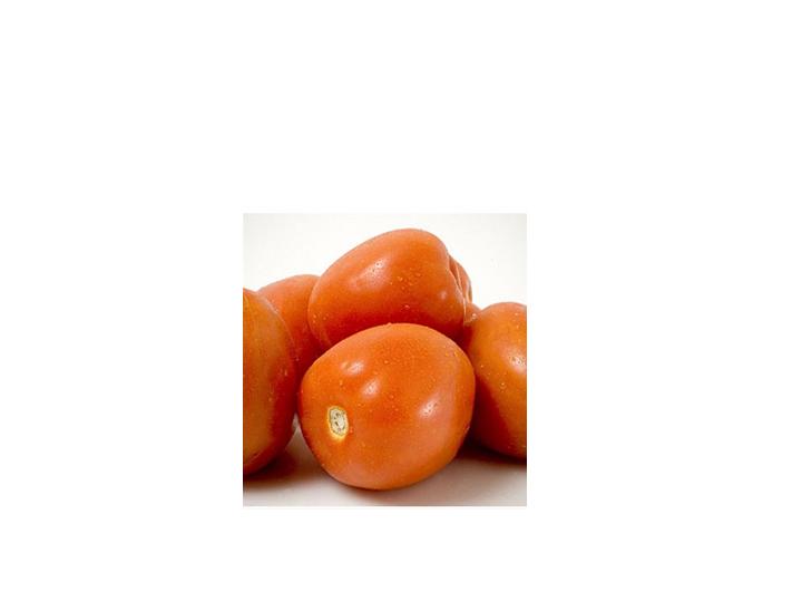Todo sobre el tomate chonto