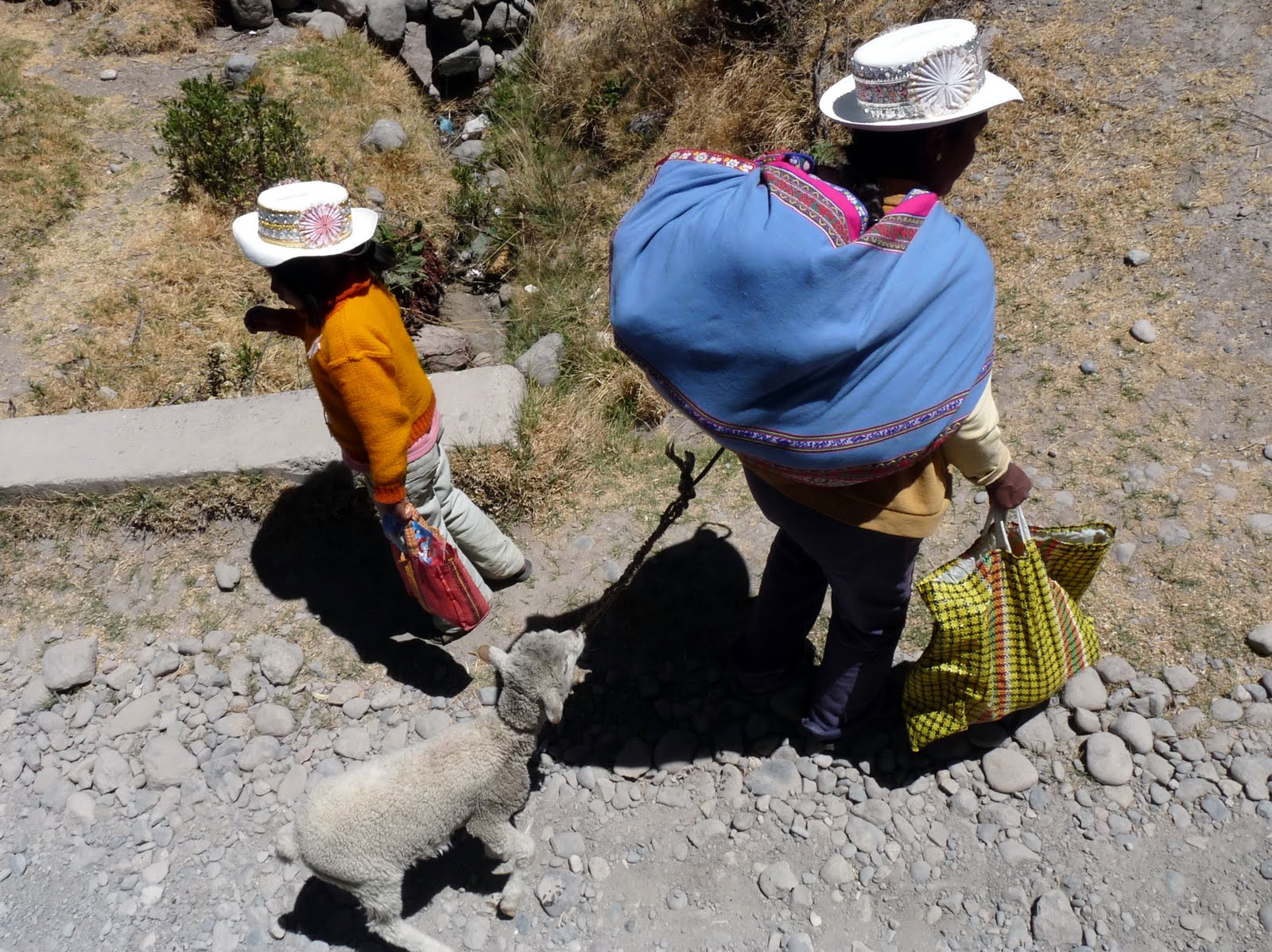 [P1030165+Peru+girl+with+sheep.jpg]