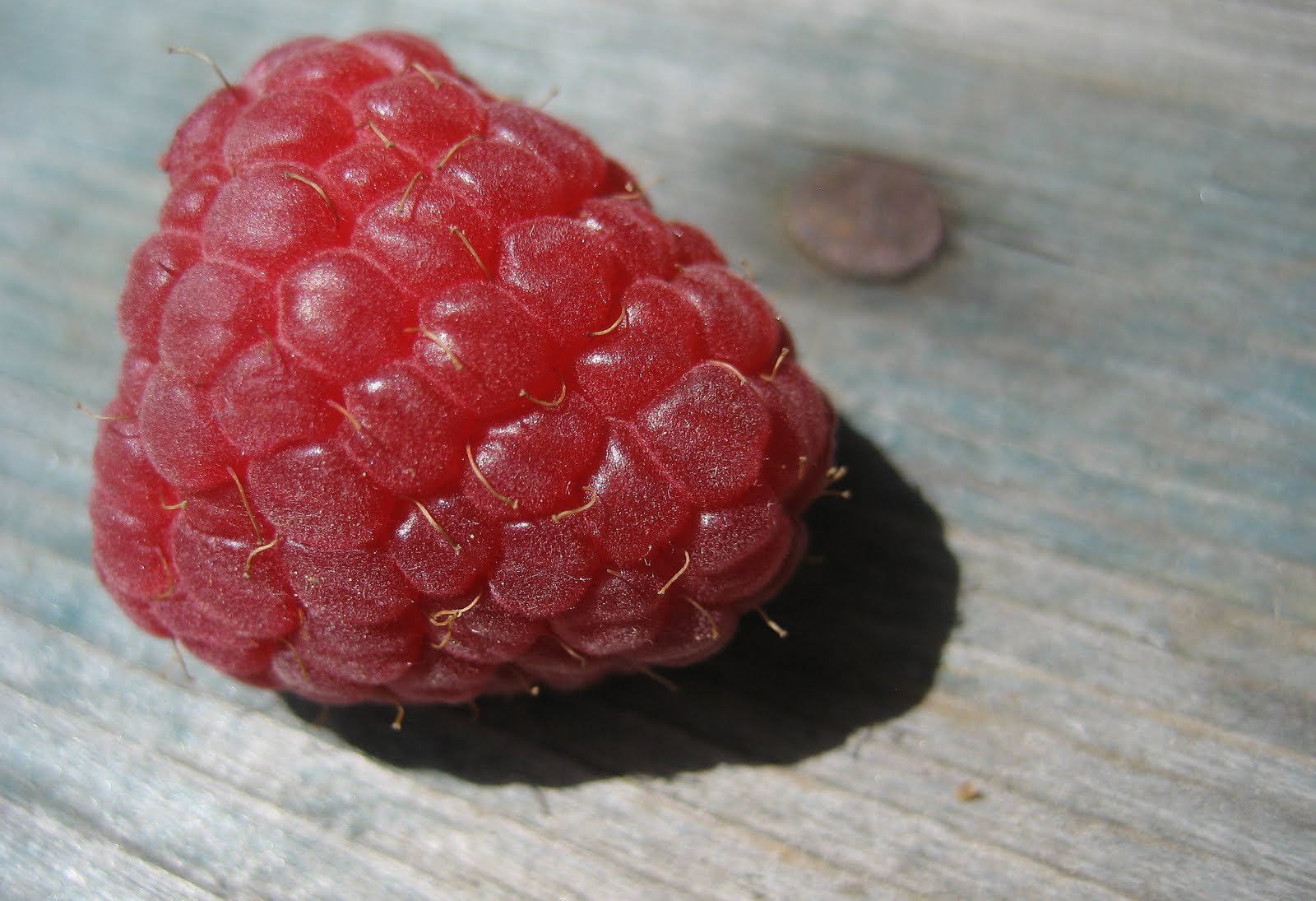 52 FLEA: Give Him The Raspberry!