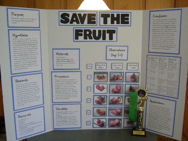 Science Project For 5th Graders
