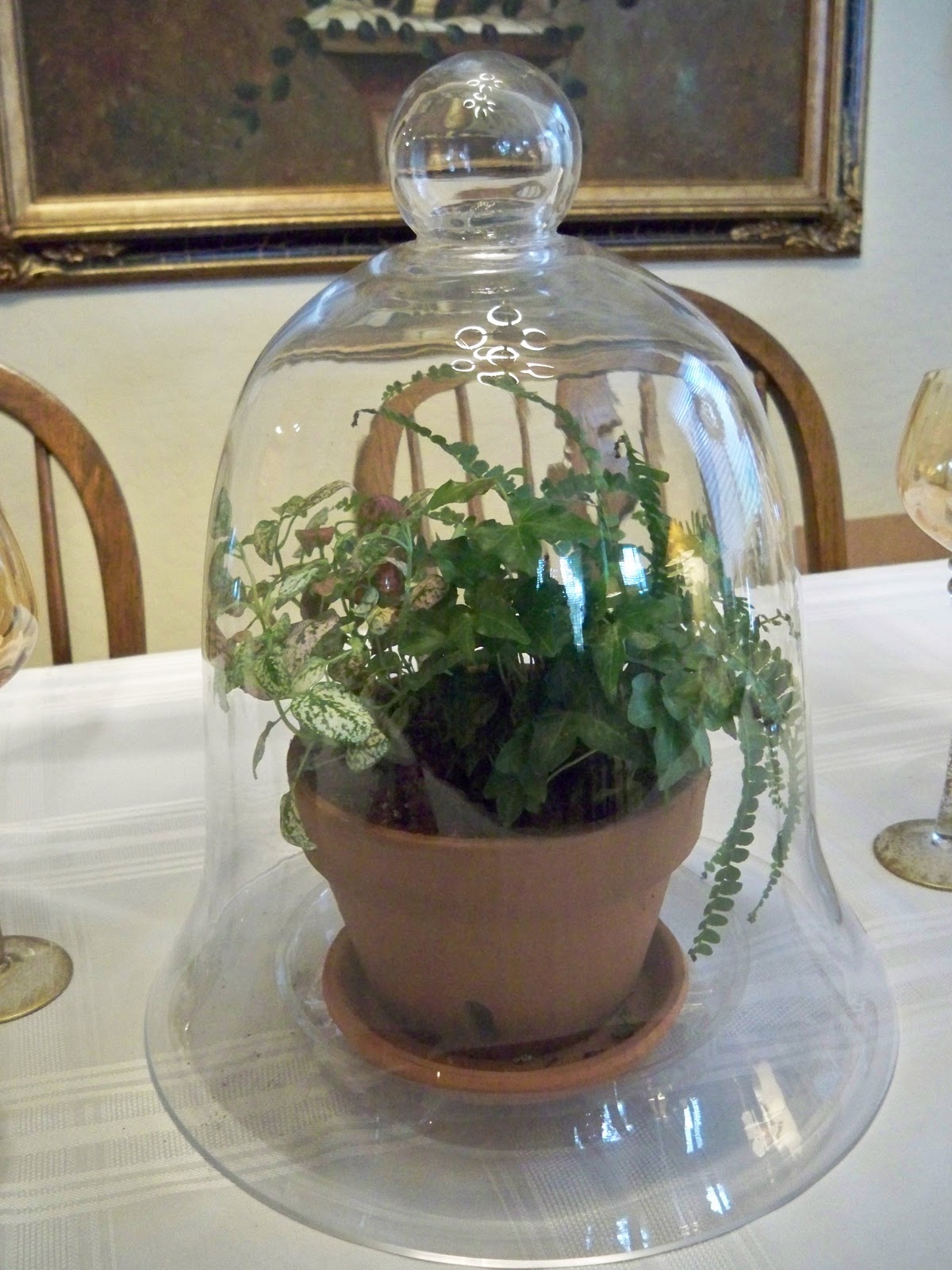 What Did Santa Bring You?