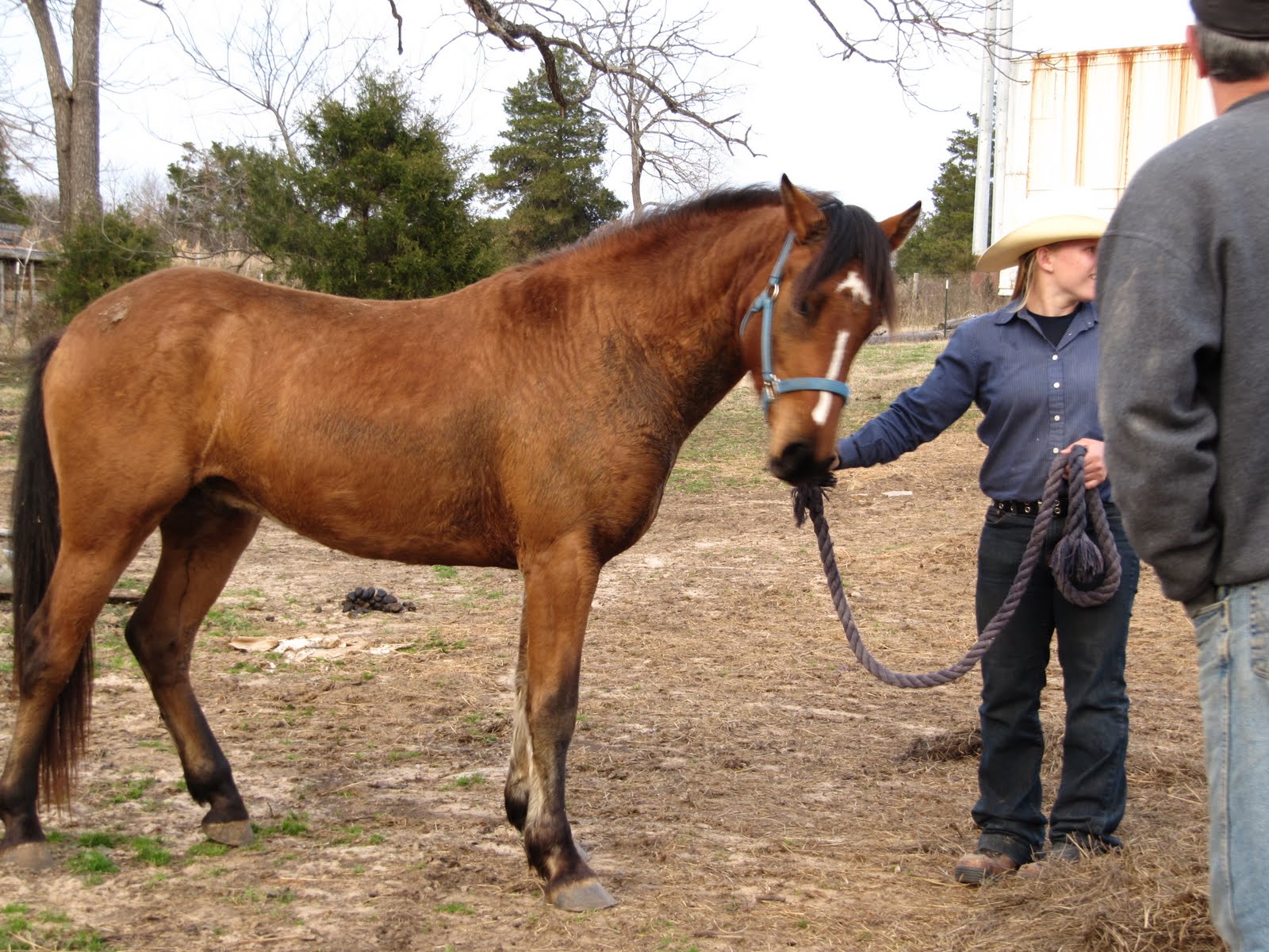 [skies+and+arrow+007.jpg]