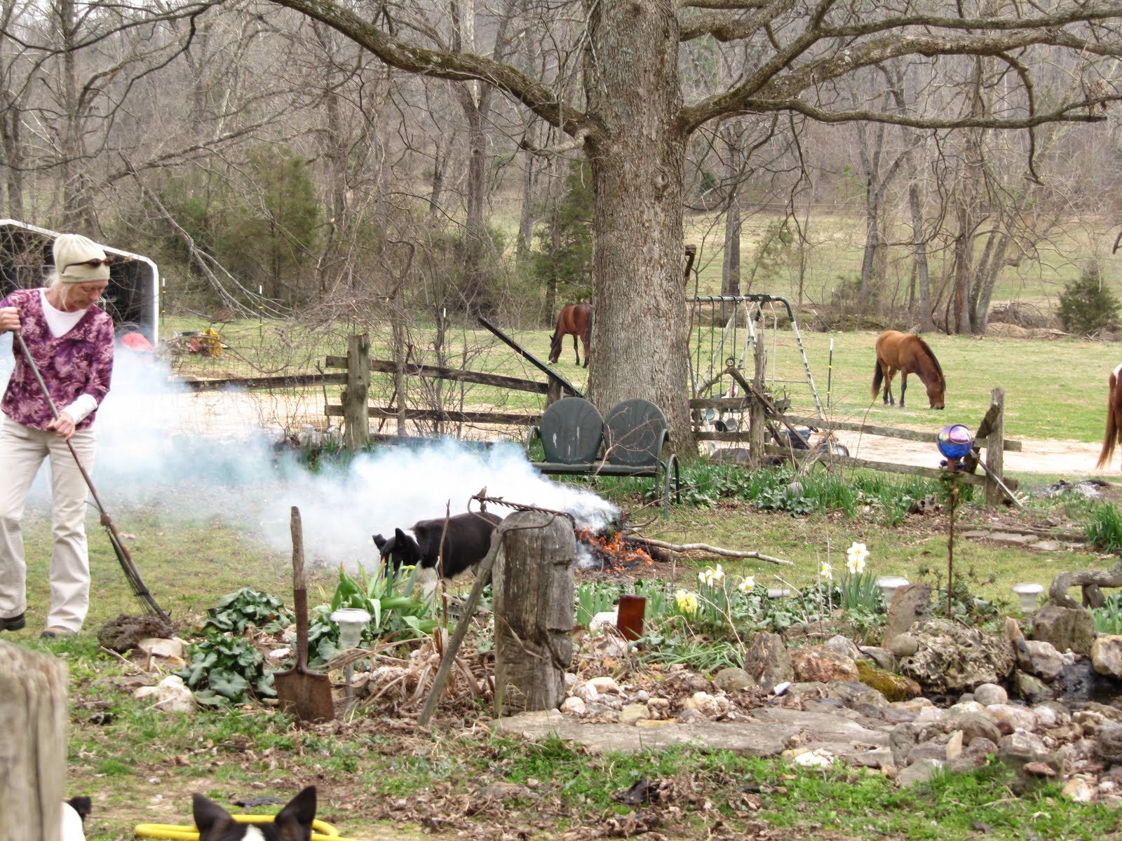 [watergarden+horses+002.jpg]