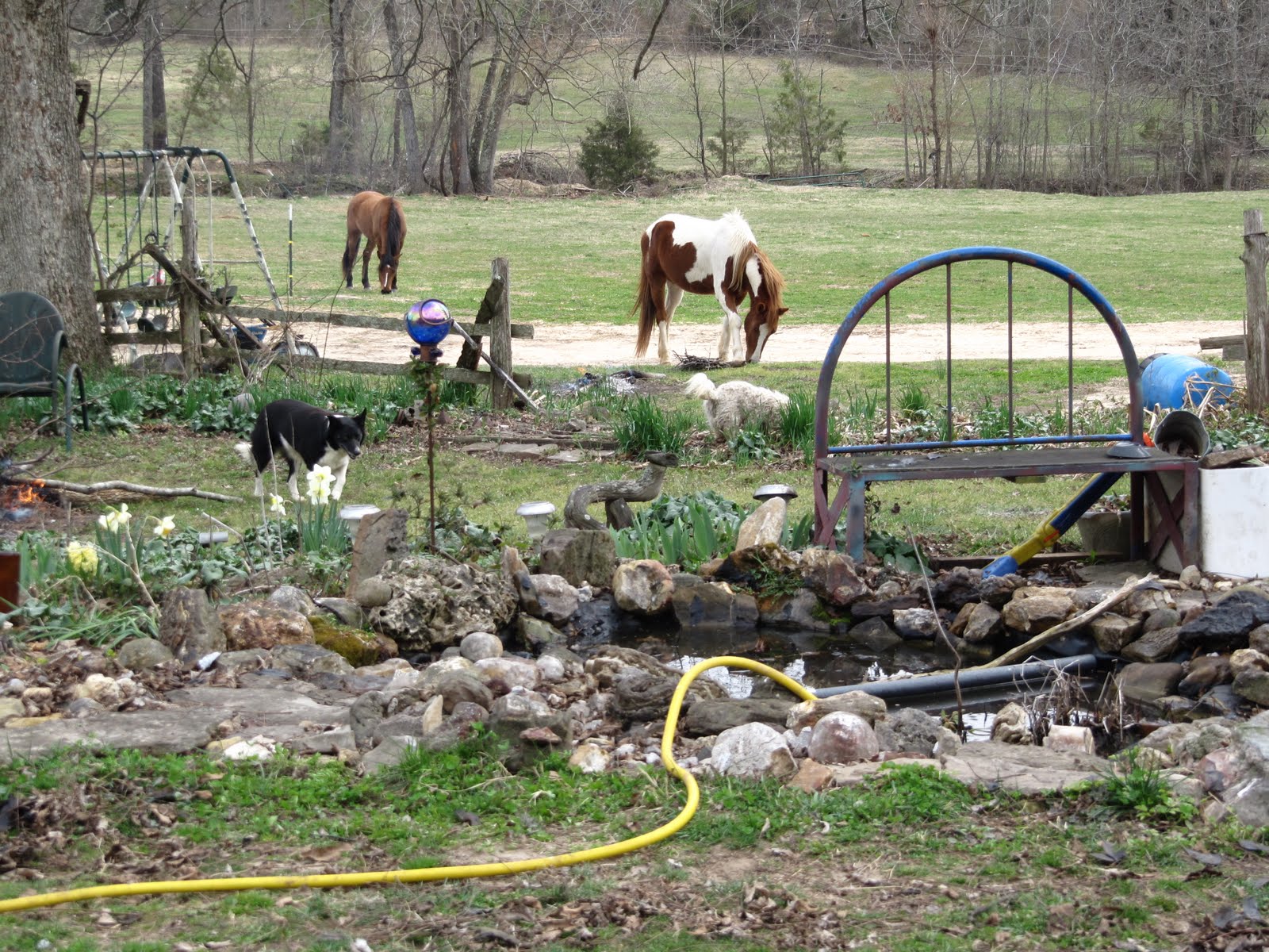 [watergarden+horses+001.jpg]