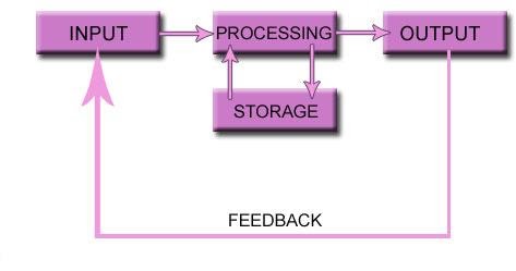Discover What You Know: INPUT, PROCESSING, OUTPUT SYSTEMS