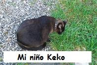 Mi gato Keko