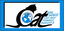 World Cat Day / Världs Kattdag