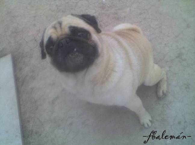 Deseo decir... (I) (PALABRAS DE AMOR A MIS HIJOS)