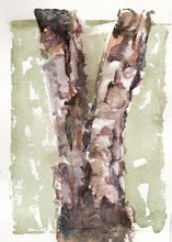 Birch layers