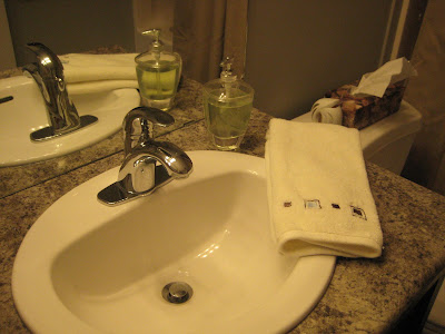 [Image: Guest+bath+sink.JPG]