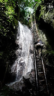 Aimee on the Second Ladder