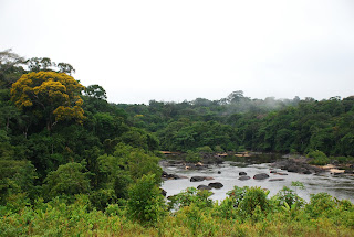 View from the Airstrip