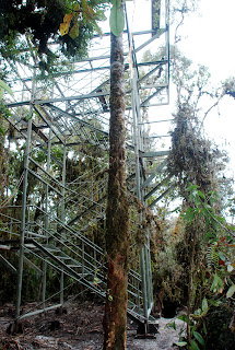 Canopy Tower Under Construction