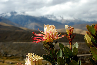 Cordillera Blanca