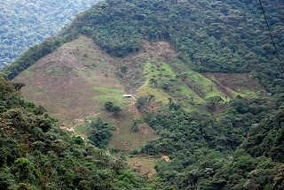Homestead on the Lower Nono-Mindo Road