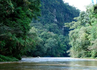Traveling up the Nangaritza River