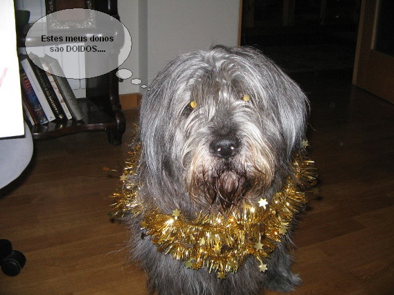 [eddienatal2007+001.jpg]