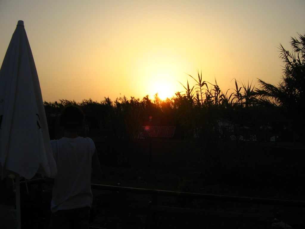 [IMG_0629.jpg]