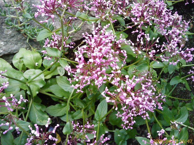 [200904121647_213.jpg]