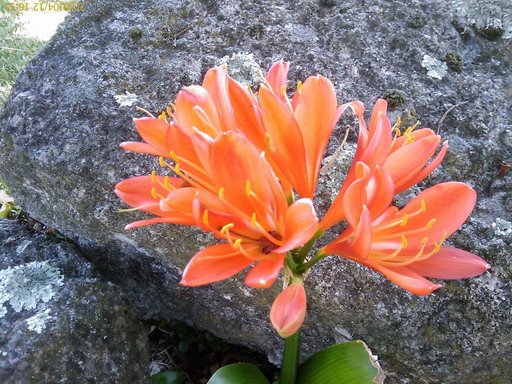 [200904121651_223.jpg]