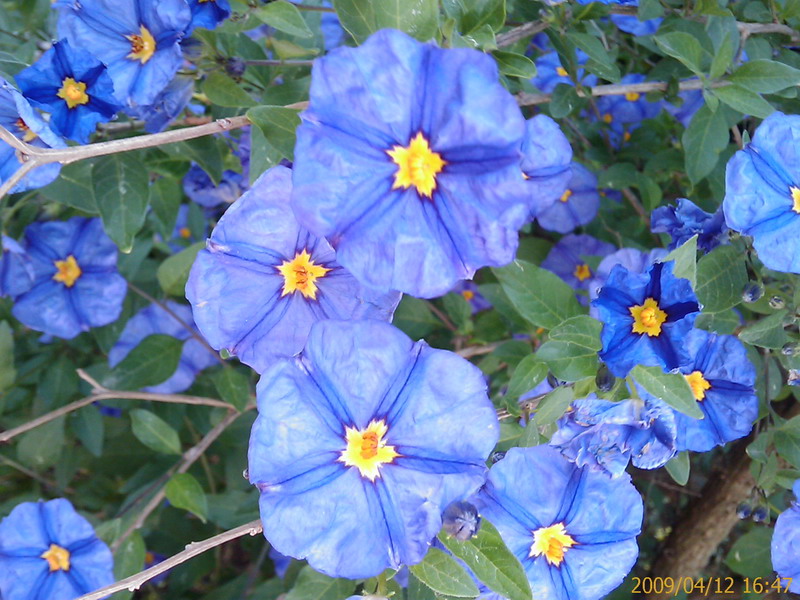 [200904121647_214.jpg]