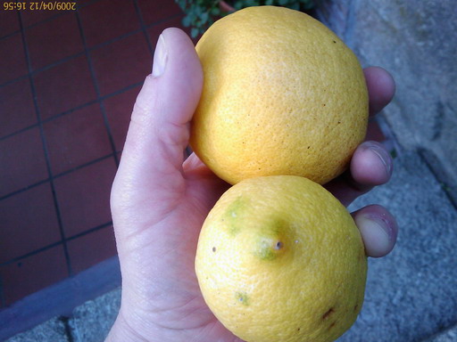 [200904121656_233.jpg]