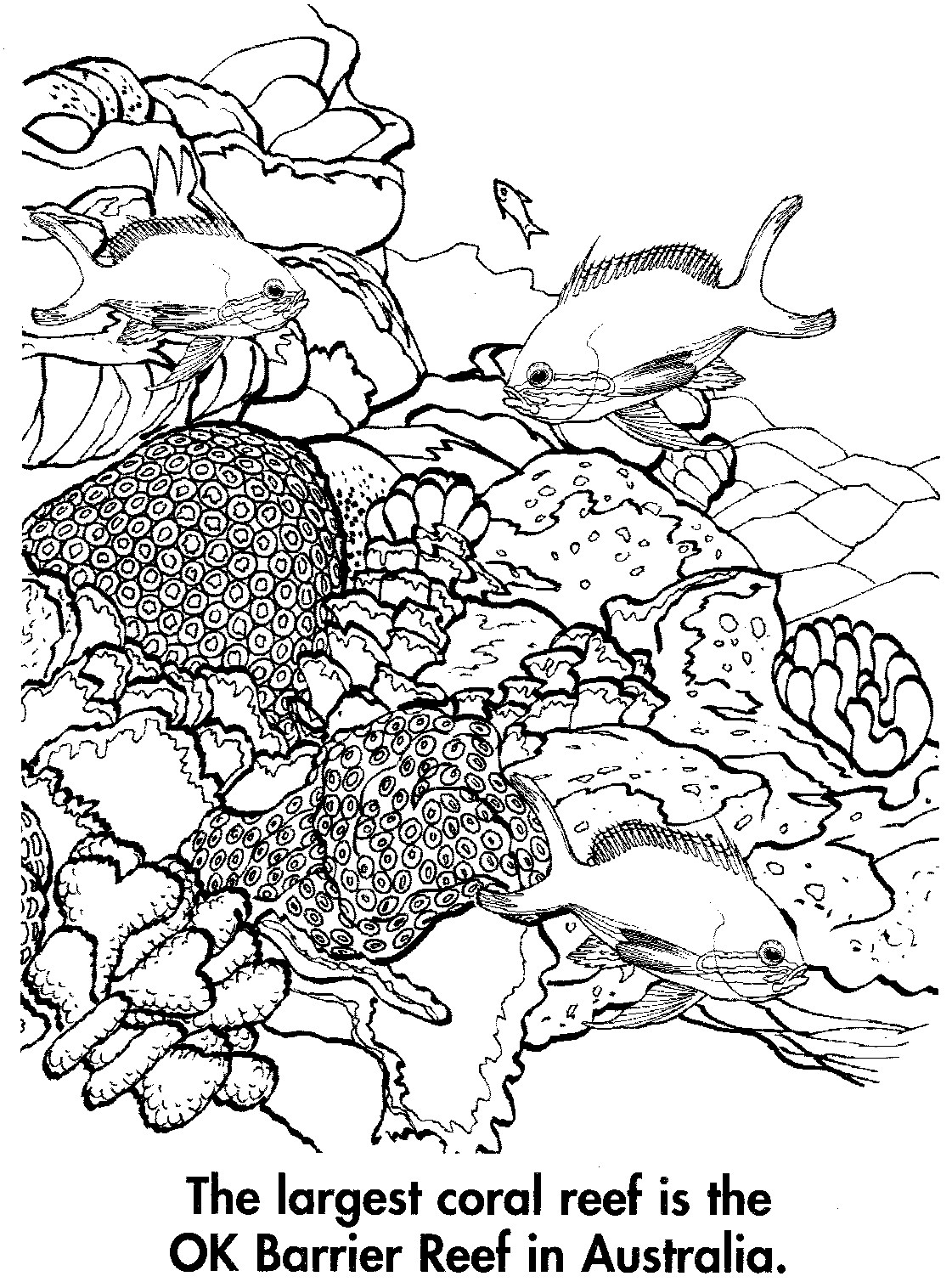 coloring pages coral reefs - photo #29